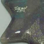 Estrella translucida